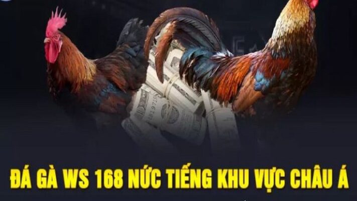 Sảnh đá gà online WS168 nổi tiếng chất lượng và hấp dẫn